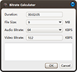 FLV Video Converter