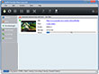 Convert YouTube video
